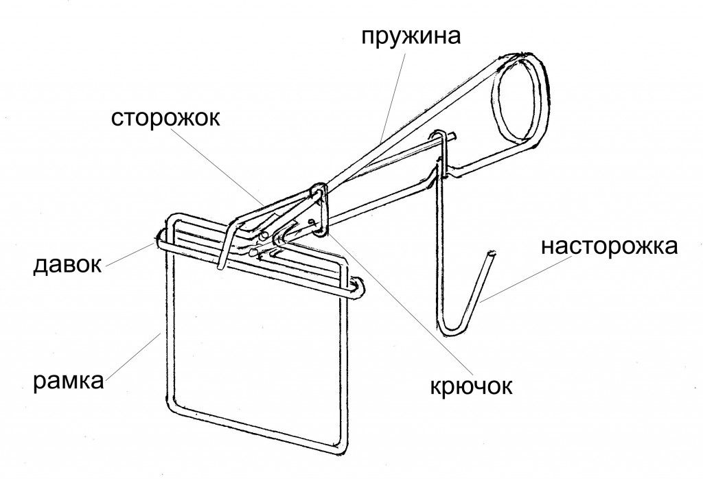 Капкан на куницу своими руками